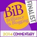 FINALIST BiB 2014 COMMENTARY