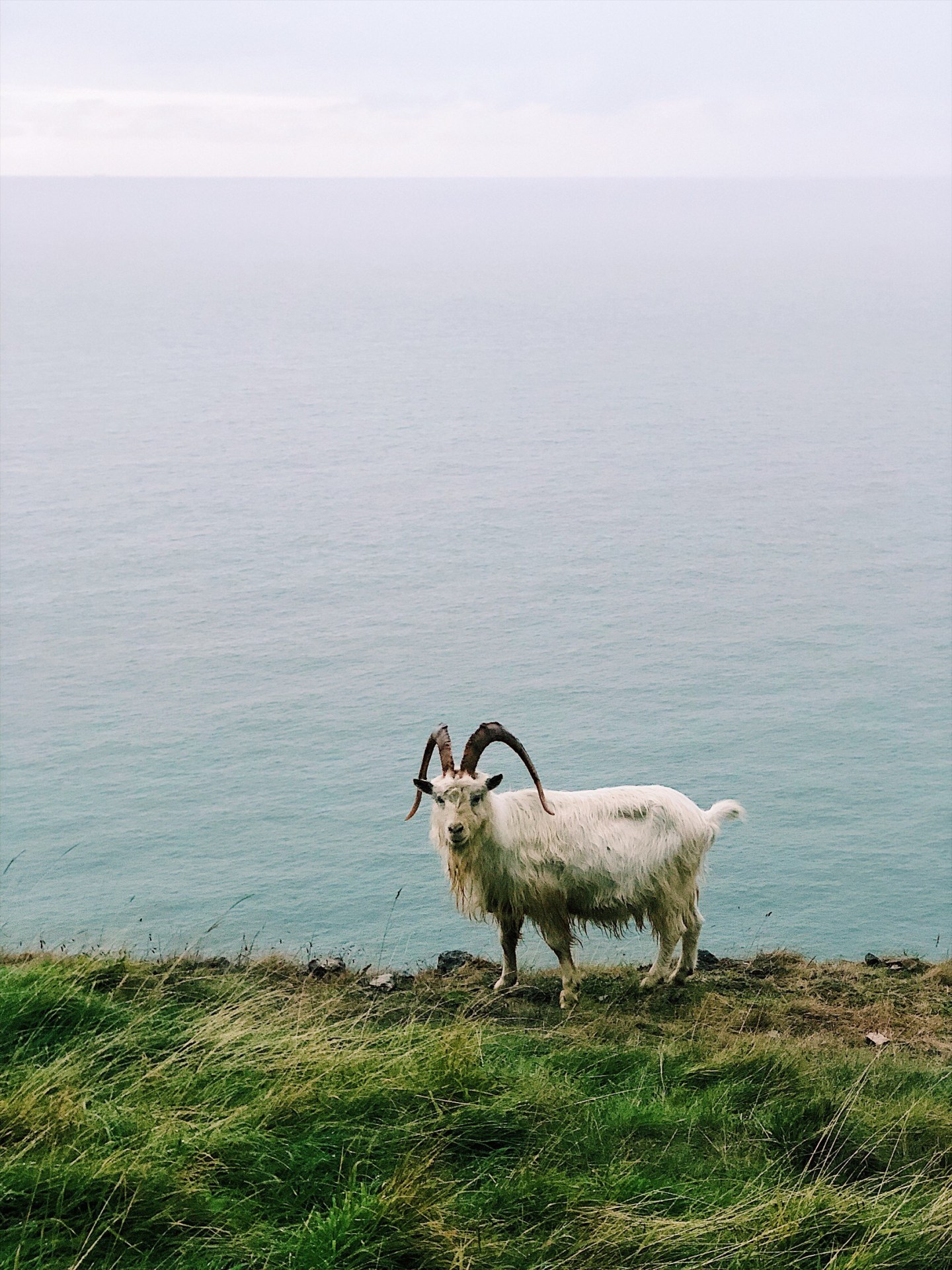 Llandudno to Conwy Walk on the Welsh Coastal Path