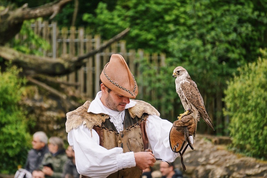 Puy Du Fou bird show, handler prepares a snack for a hawk