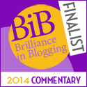 FINALIST BiB 2014 COMMENTARY
